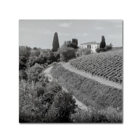 Alan Blaustein 'Tuscany V' Canvas Art,35x35